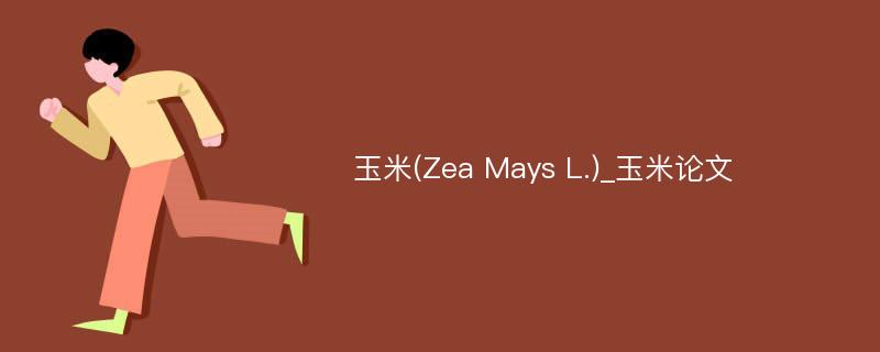 玉米(Zea Mays L.)_玉米论文