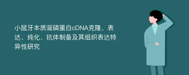小鼠牙本质涎磷蛋白cDNA克隆、表达、纯化、抗体制备及其组织表达特异性研究