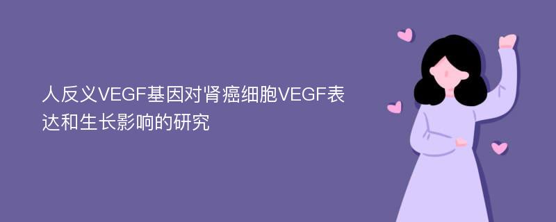 人反义VEGF基因对肾癌细胞VEGF表达和生长影响的研究