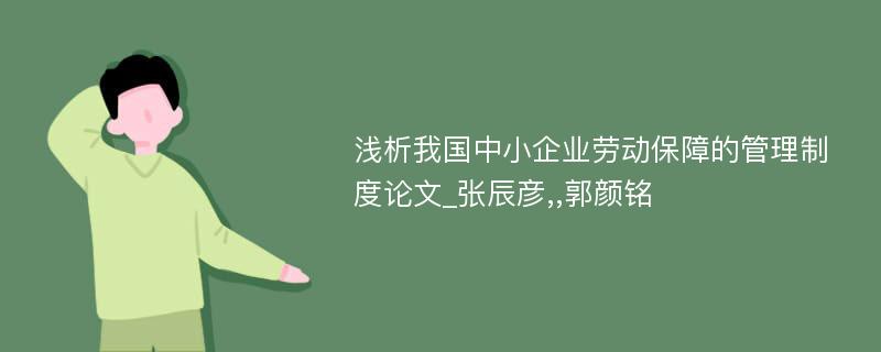 浅析我国中小企业劳动保障的管理制度论文_张辰彦,,郭颜铭