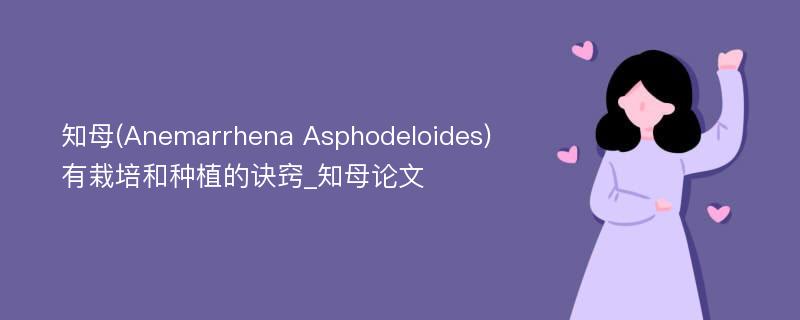 知母(Anemarrhena Asphodeloides)有栽培和种植的诀窍_知母论文