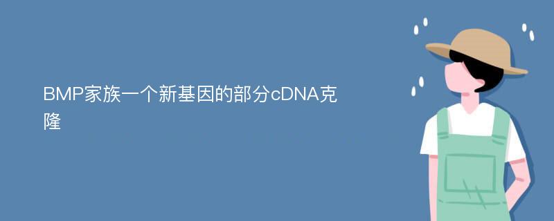 BMP家族一个新基因的部分cDNA克隆