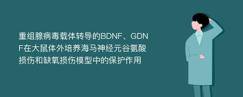 重组腺病毒载体转导的BDNF、GDNF在大鼠体外培养海马神经元谷氨酸损伤和缺氧损伤模型中的保护作用