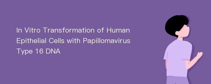In Vitro Transformation of Human Epithelial Cells with Papillomavirus Type 16 DNA